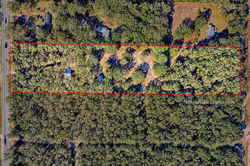 300 South Us Highway Bell, FL 32619 - Photo 4 of 47