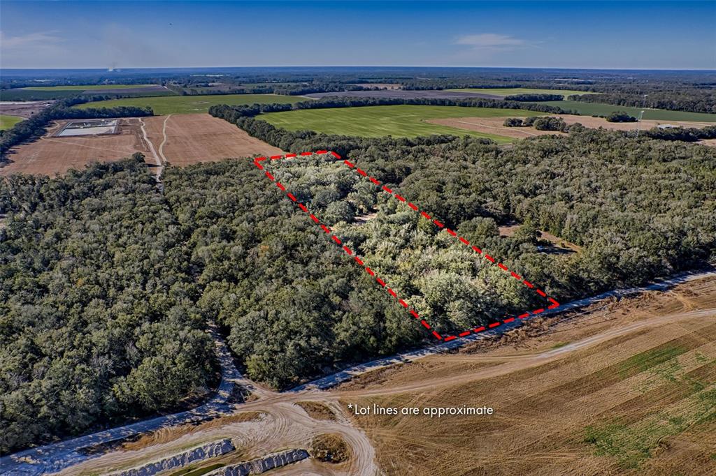 300 South Us Highway Bell, FL 32619 - Photo 41 of 47 a view of a yard with an outdoor space