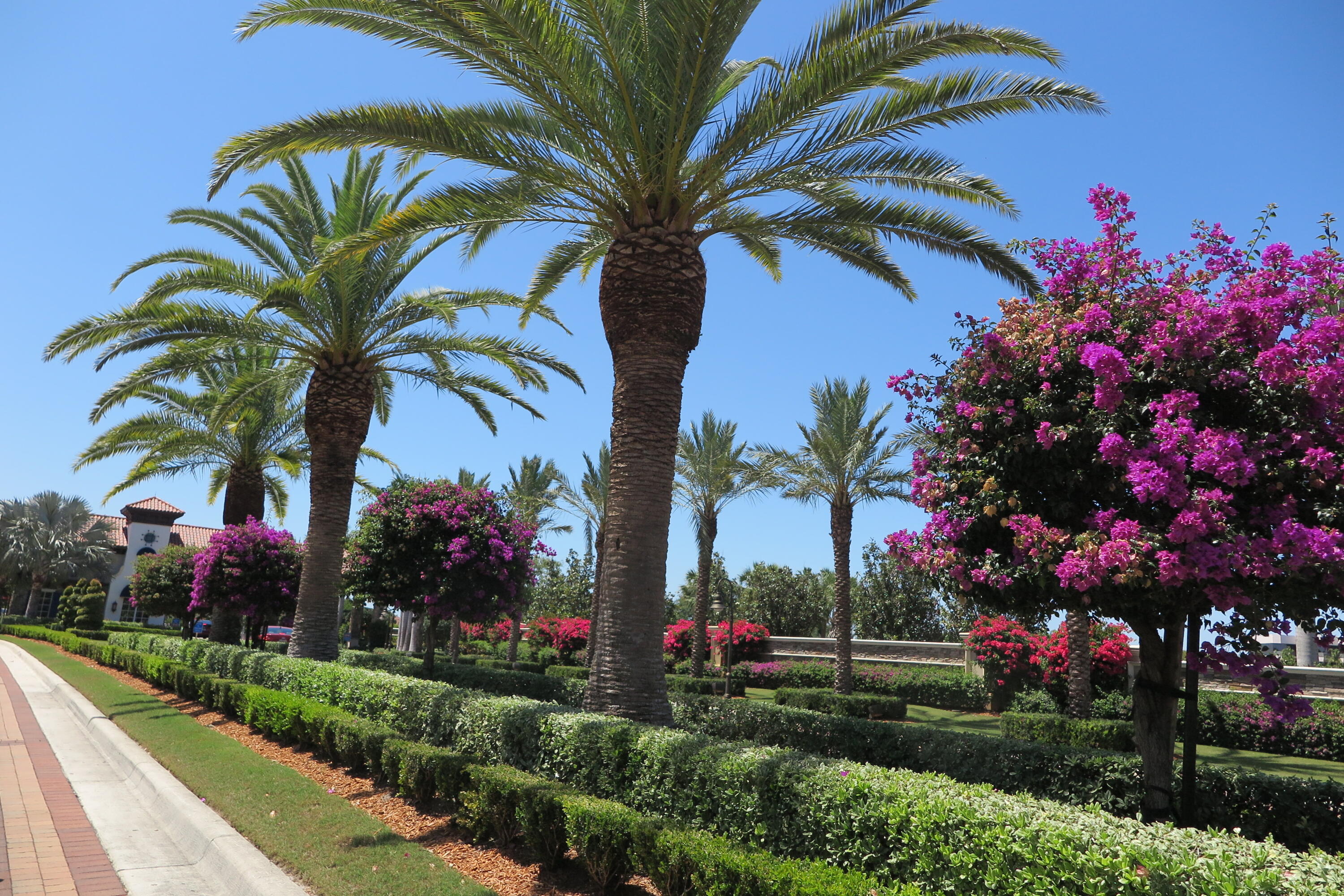 7148 Mariana Court Boca Raton, FL 33433 - Photo 54 of 54 Country Club Main Entrance