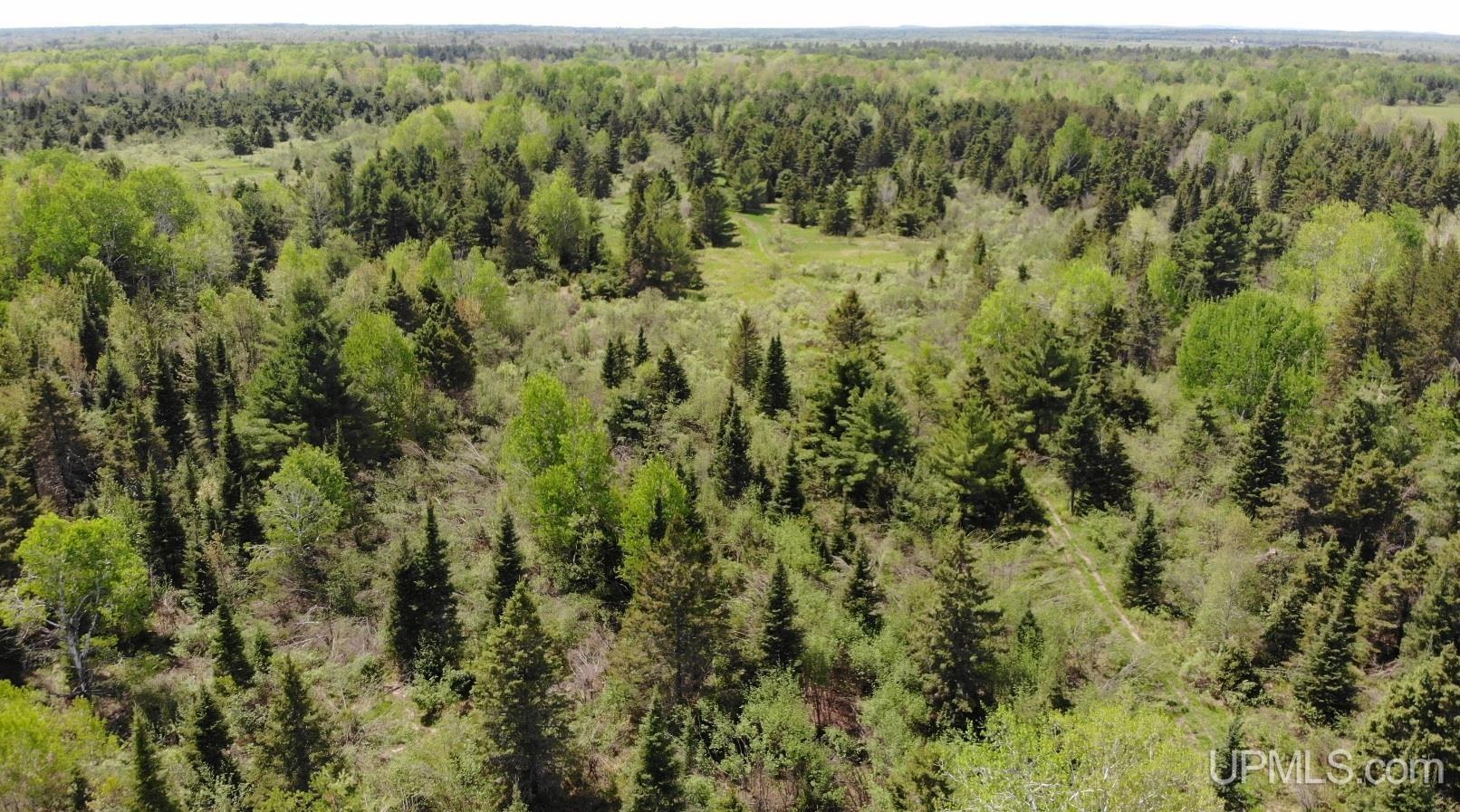 15467 Larson Road Bruce Crossing, MI 49912 - Photo 7 of 44
