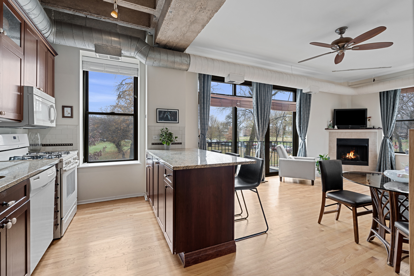 811 South Lytle Street, Unit 103 Chicago, IL 60607 - Photo 4 of 21