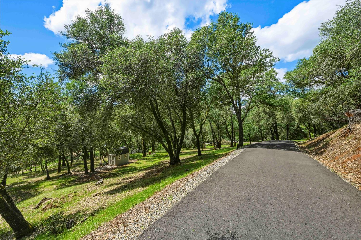 1181 Old Rock Bridge Road Placerville, CA 95667 - Photo 48 of 80