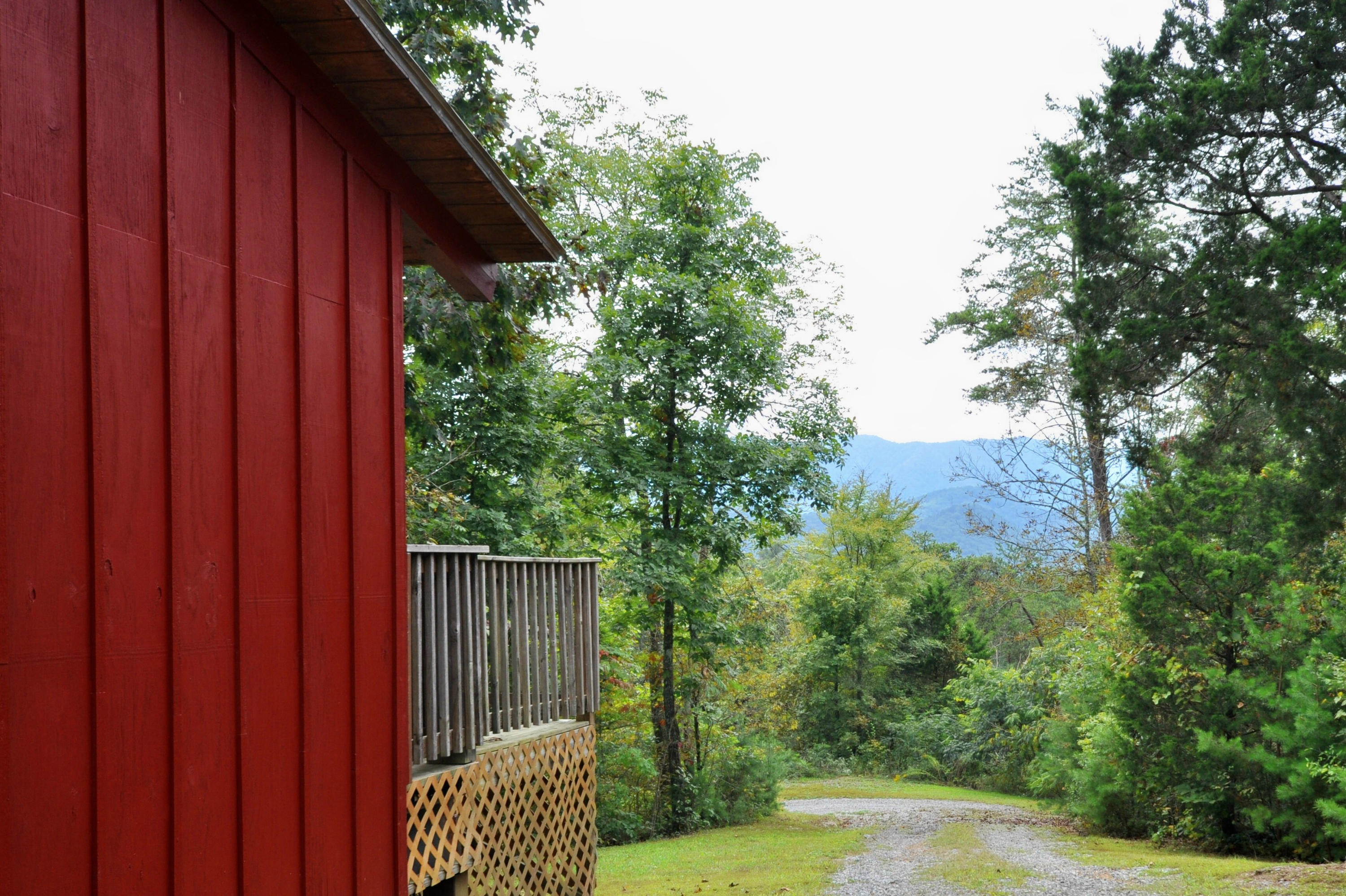 735 Rudd Hollow Road Townsend, TN 37882 - Photo 13 of 34 Views from driveway