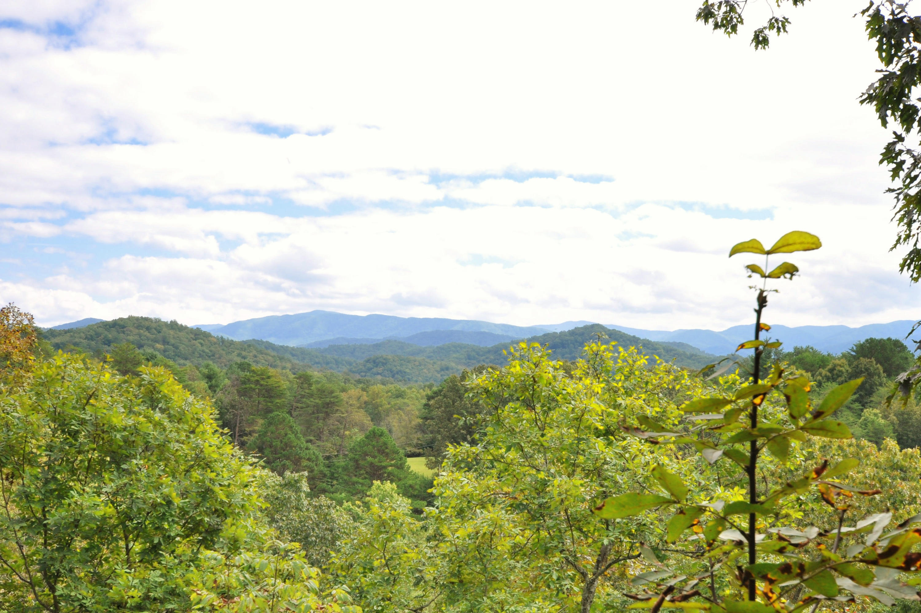 735 Rudd Hollow Road Townsend, TN 37882 - Photo 14 of 34 Views from the deck