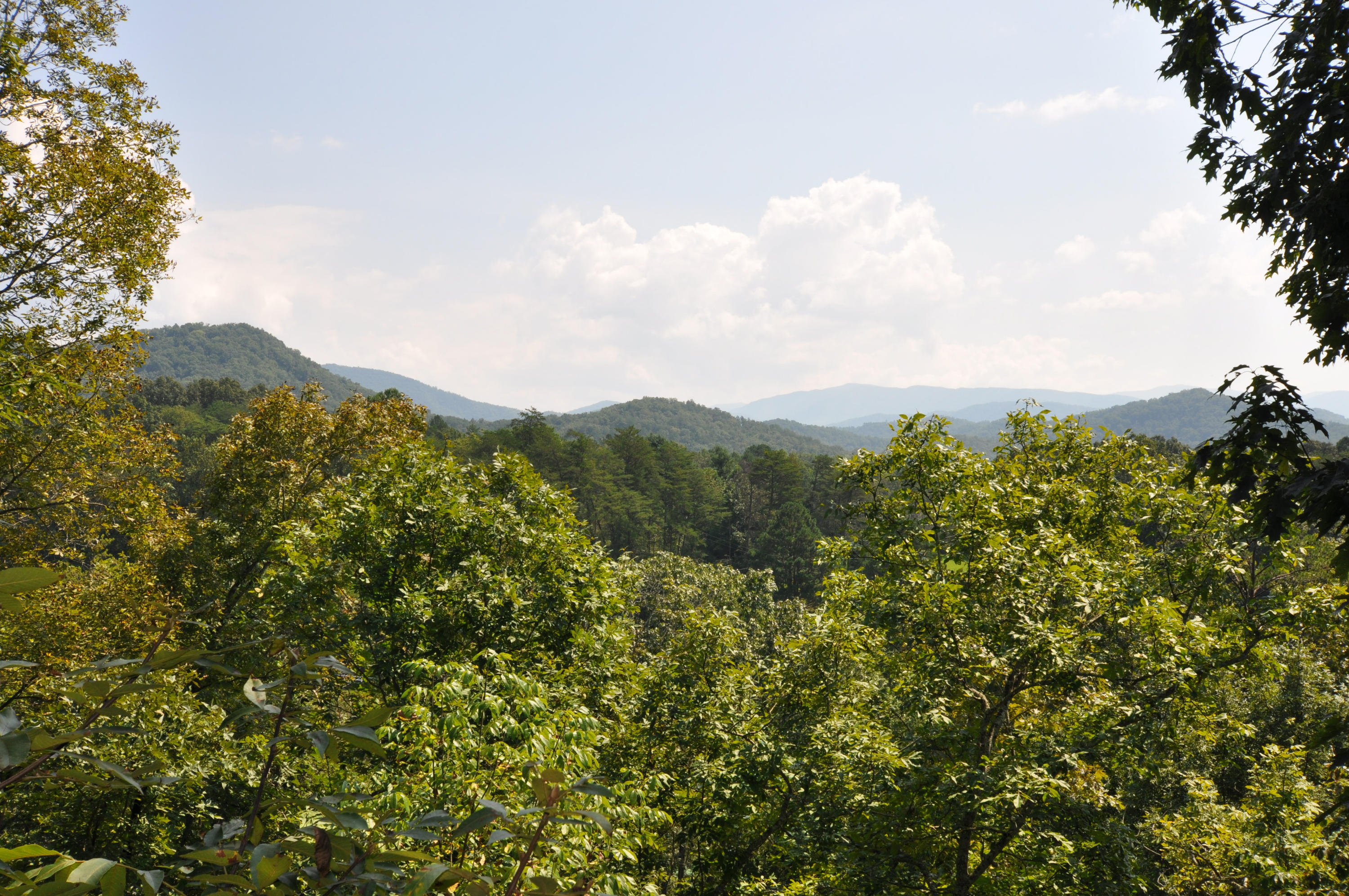735 Rudd Hollow Road Townsend, TN 37882 - Photo 4 of 34 Views from the deck