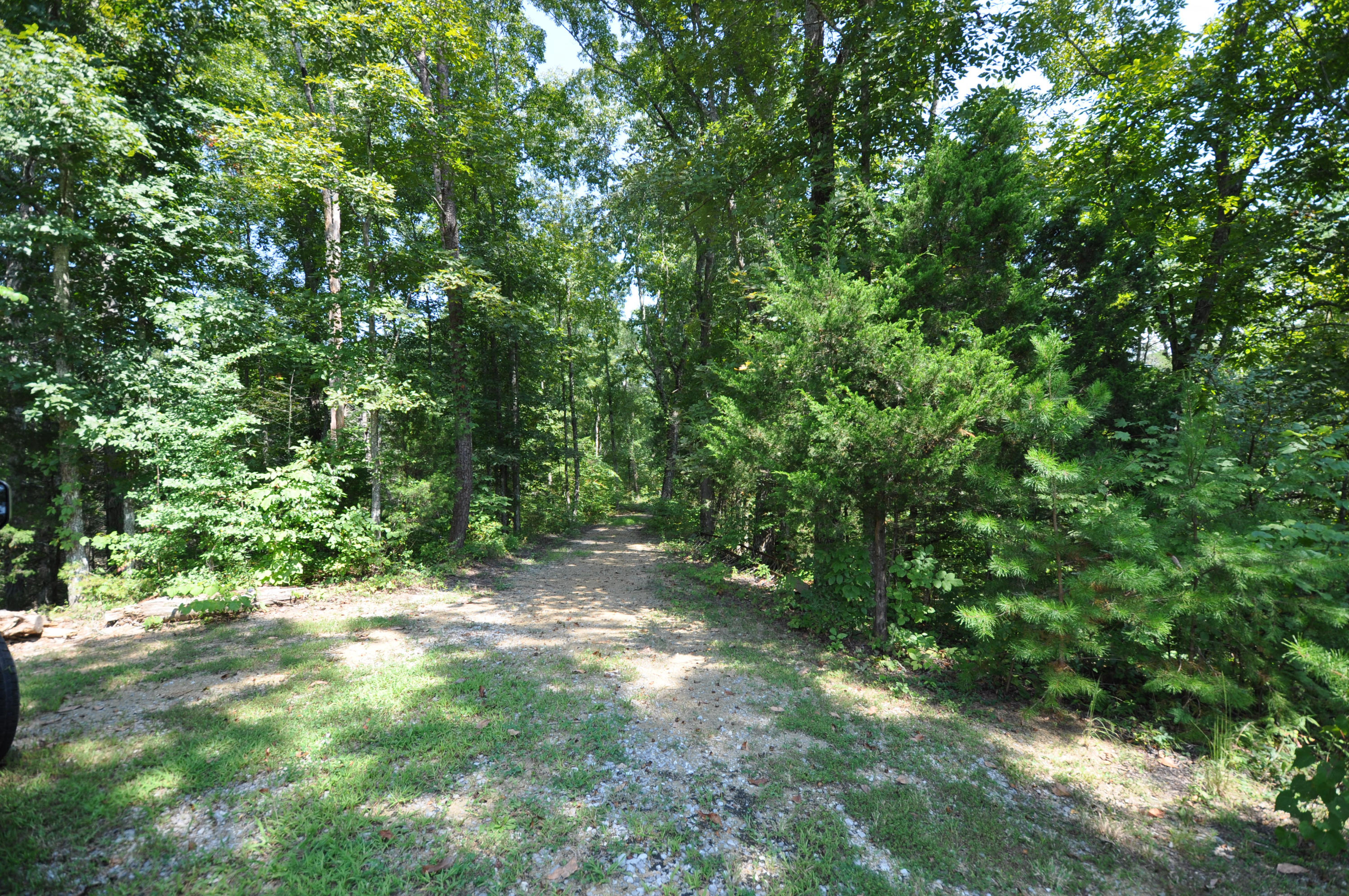 735 Rudd Hollow Road Townsend, TN 37882 - Photo 6 of 34 Driveway to adjoining lot