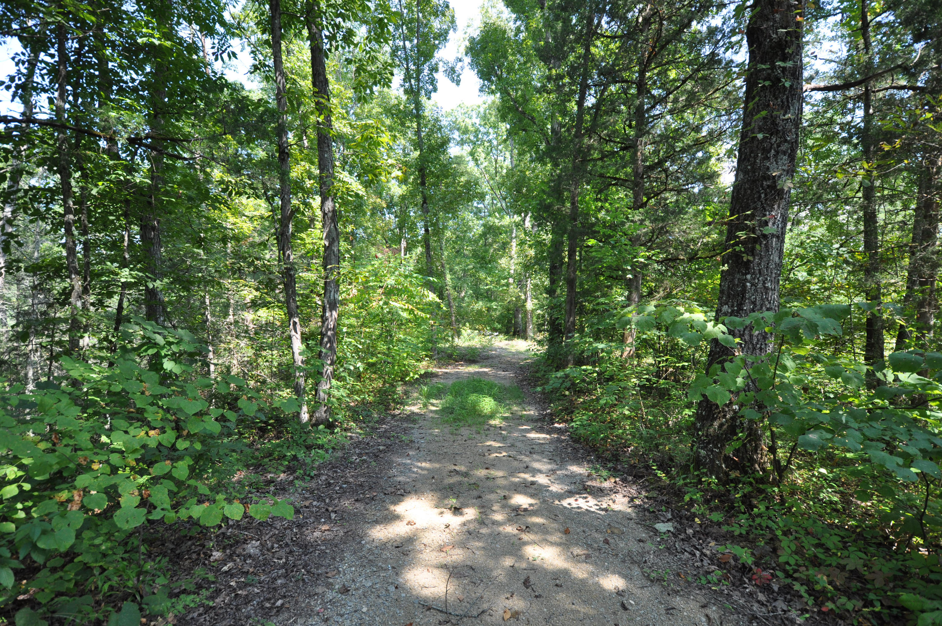 735 Rudd Hollow Road Townsend, TN 37882 - Photo 7 of 34 Adjoining lot