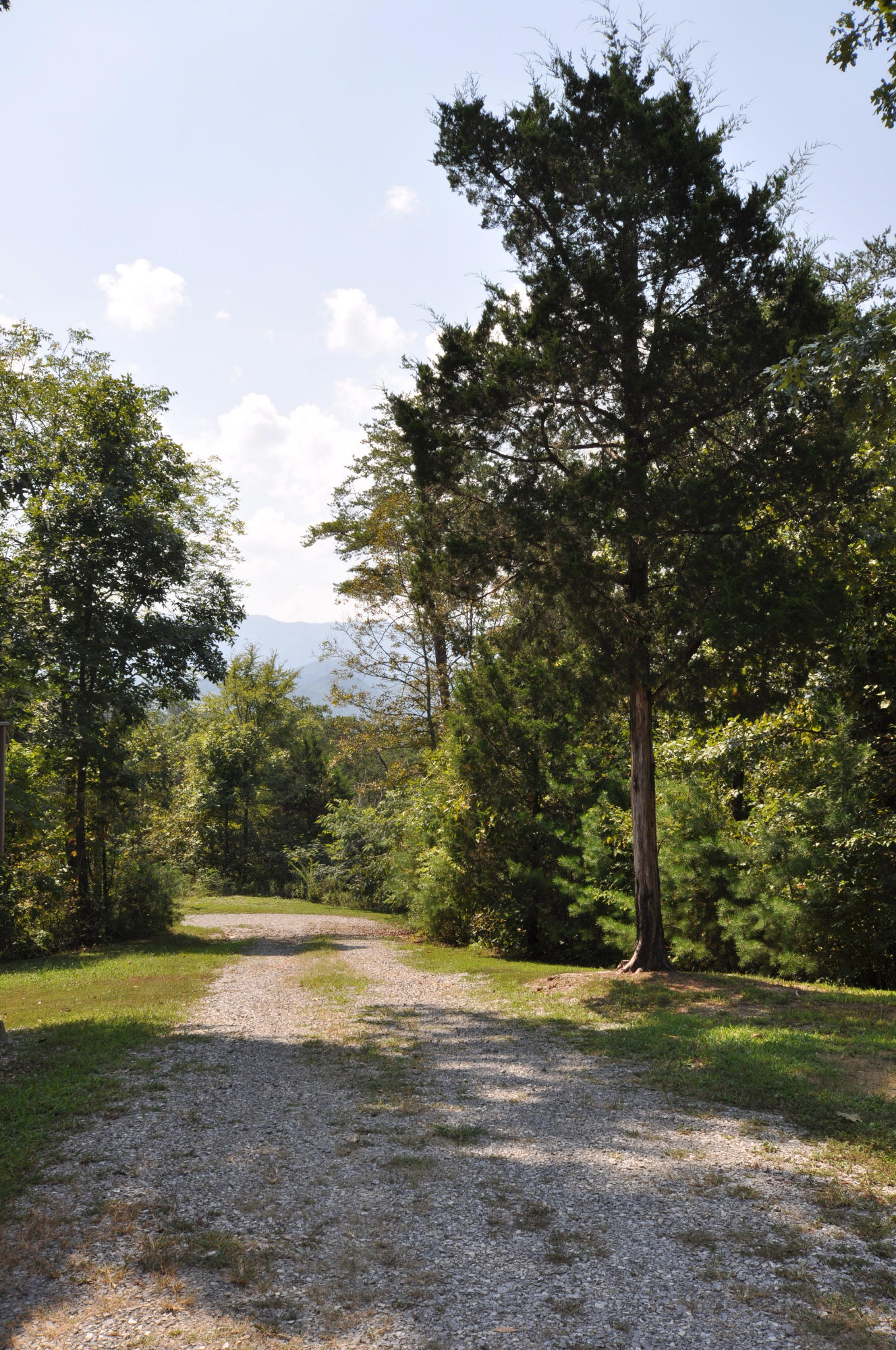 735 Rudd Hollow Road Townsend, TN 37882 - Photo 8 of 34 Driveway