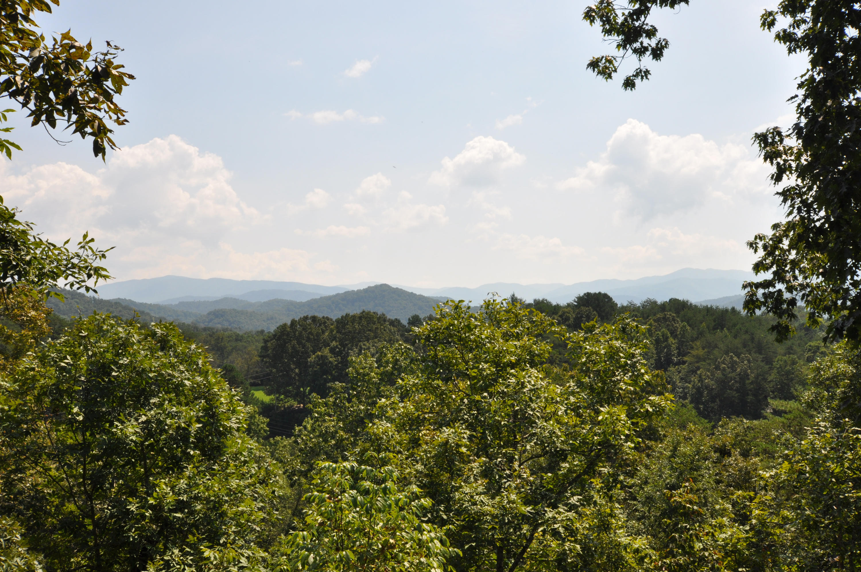 735 Rudd Hollow Road Townsend, TN 37882 - Photo 9 of 34 Views from the deck