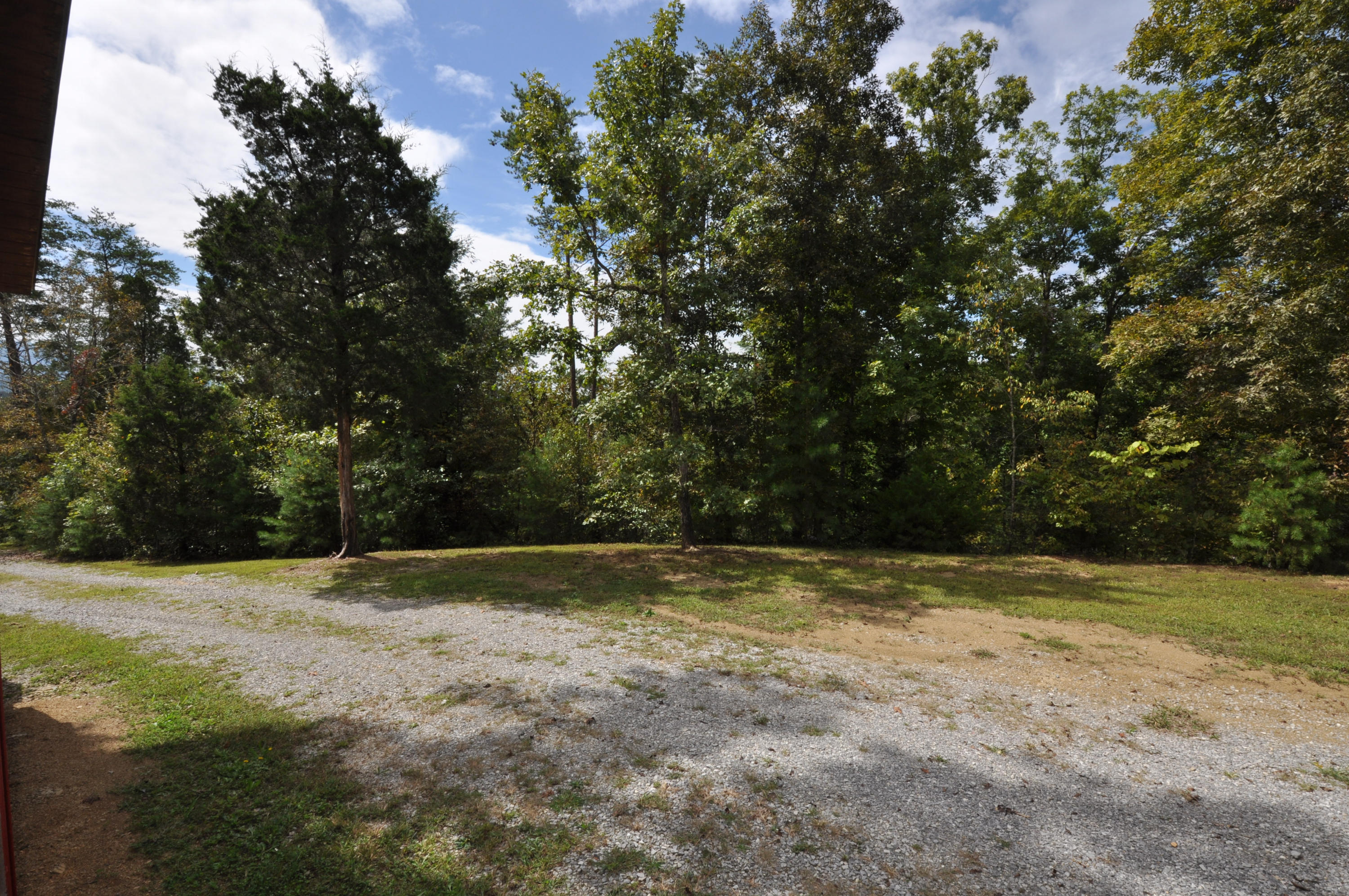 735 Rudd Hollow Road Townsend, TN 37882 - Photo 10 of 34 Flat areas for future expansion