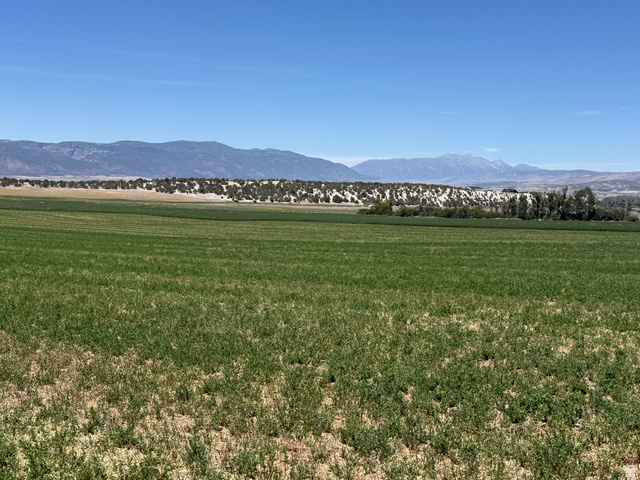 2 1100th South Spring City, UT 84662 - Photo 6 of 9