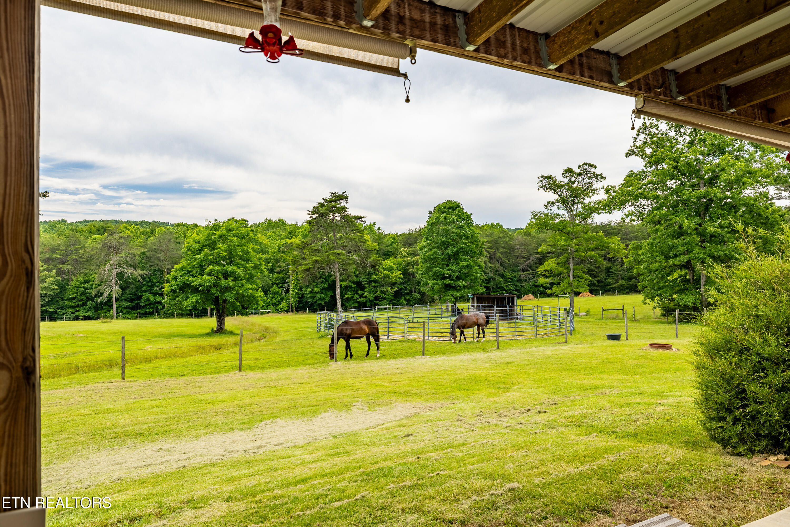 1152 Brier Branch Road Graysville, TN 37338 - Photo 27 of 49 View from Back Porch