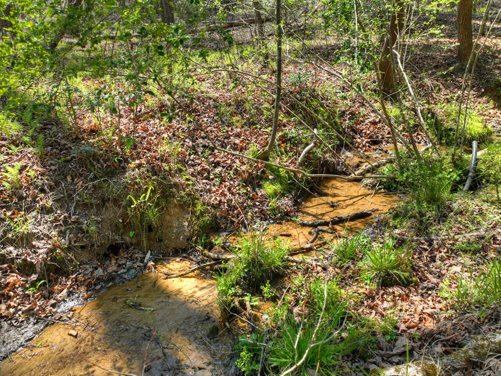 158 Spring Run Drive Blue Ridge, GA 30513 - Photo 22 of 88