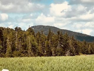 0 Red Tavern Road Malone, NY 12953 - Photo 6 of 7 Gallery Image 6