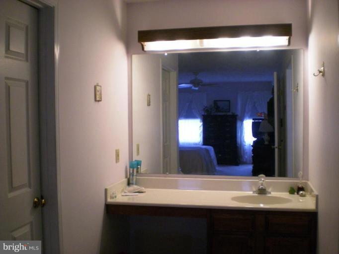 1 Anderson Ridge Road Catonsville, MD 21228 - Photo 12 of 21 Additional sink in MBR
