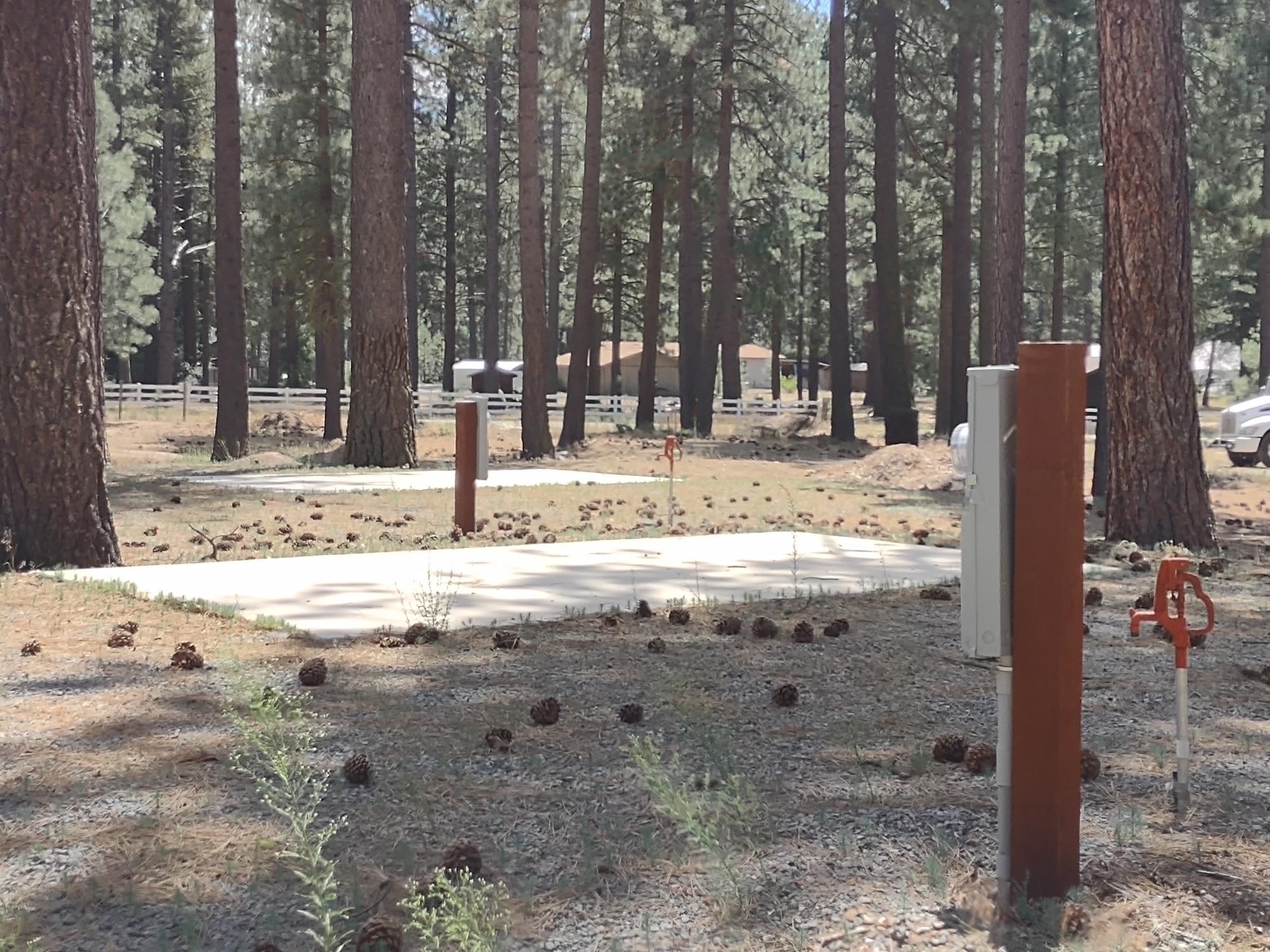 329 Clio State 40A Road Clio, CA 96106 - Photo 13 of 32