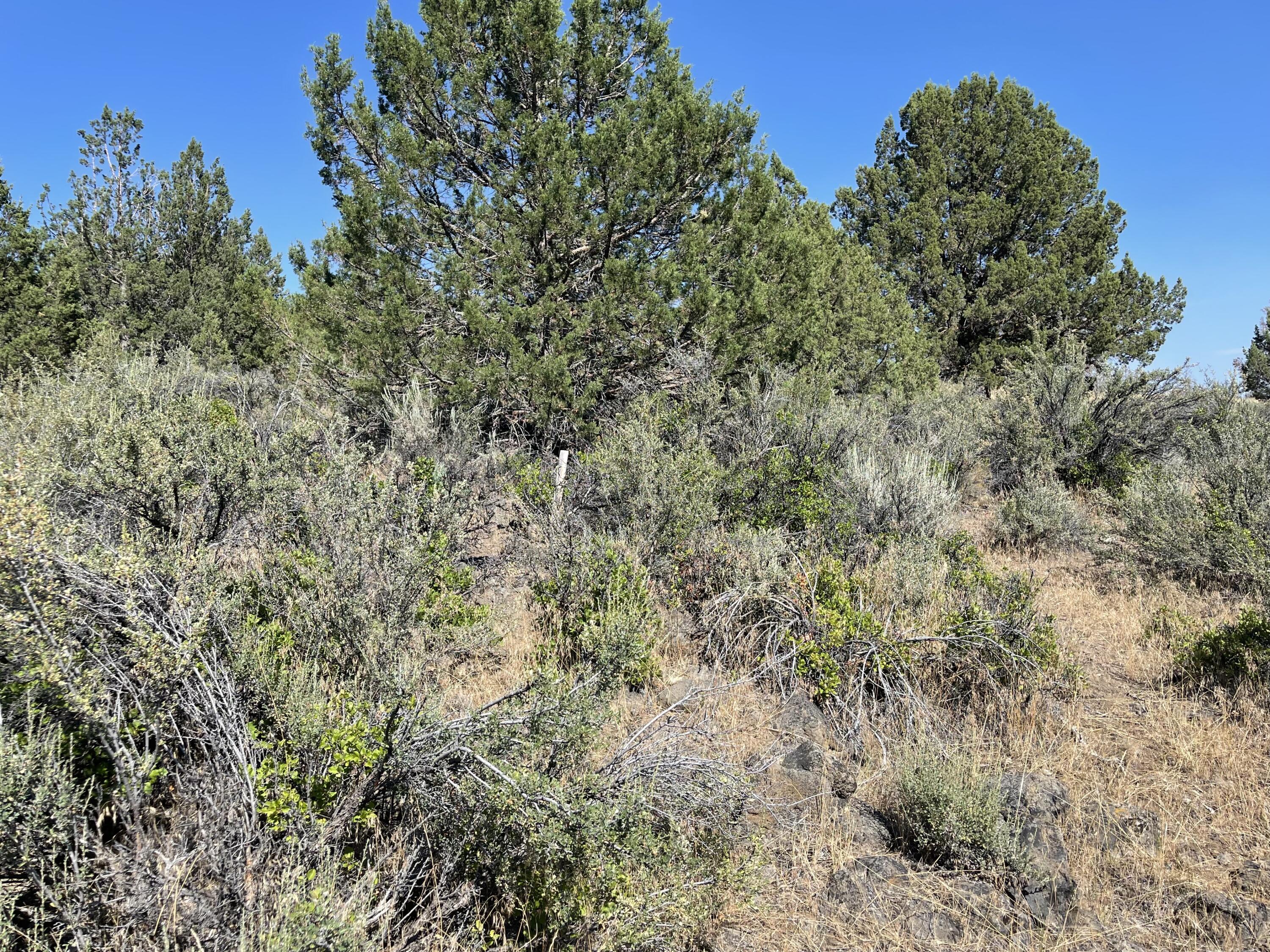 Harney Street Chiloquin, OR 97624 - Photo 3 of 10 IMG_4713