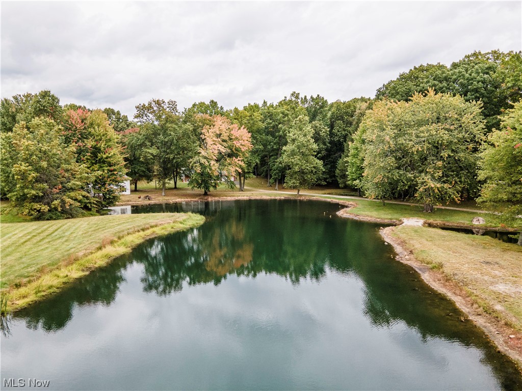 3077 Luli Road Mogadore, OH 44260 - Photo 2 of 34 View of water feature