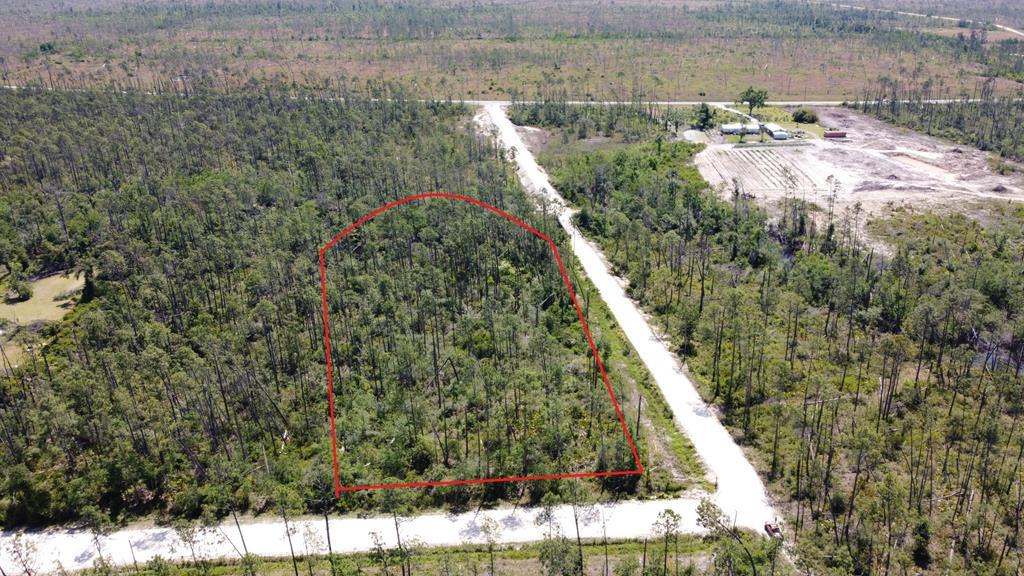 1 Buddy Floore Road Wewahitchka, FL 32465 - Photo 2 of 7