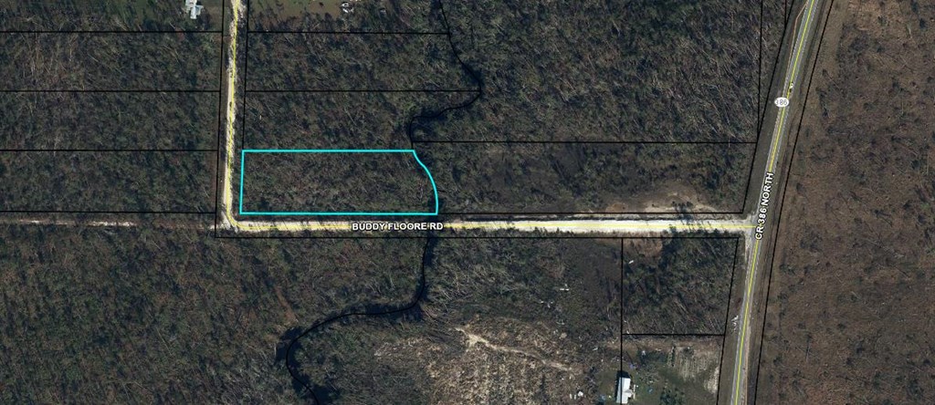1 Buddy Floore Road Wewahitchka, FL 32465 - Photo 3 of 7