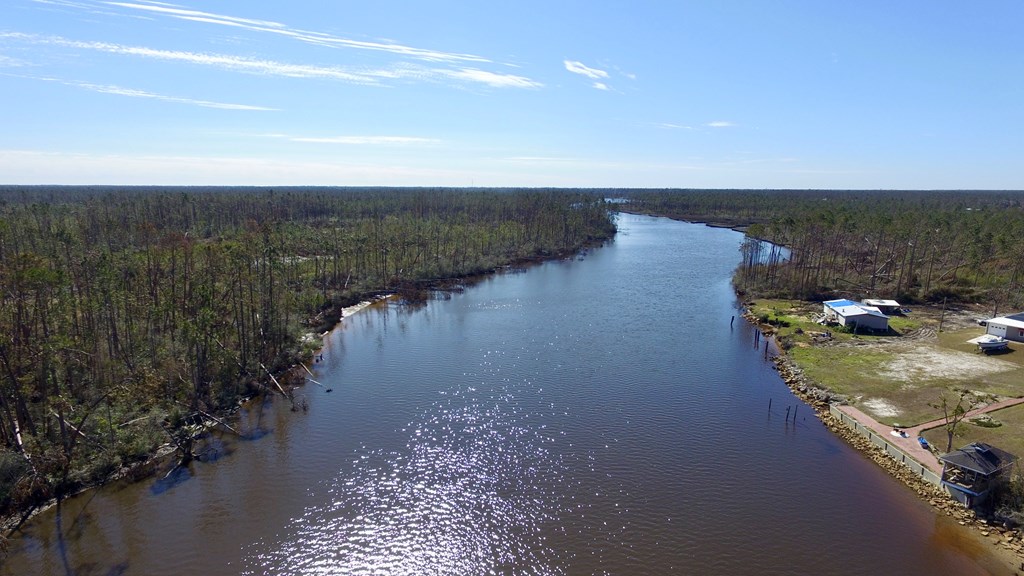 1 Buddy Floore Road Wewahitchka, FL 32465 - Photo 6 of 7