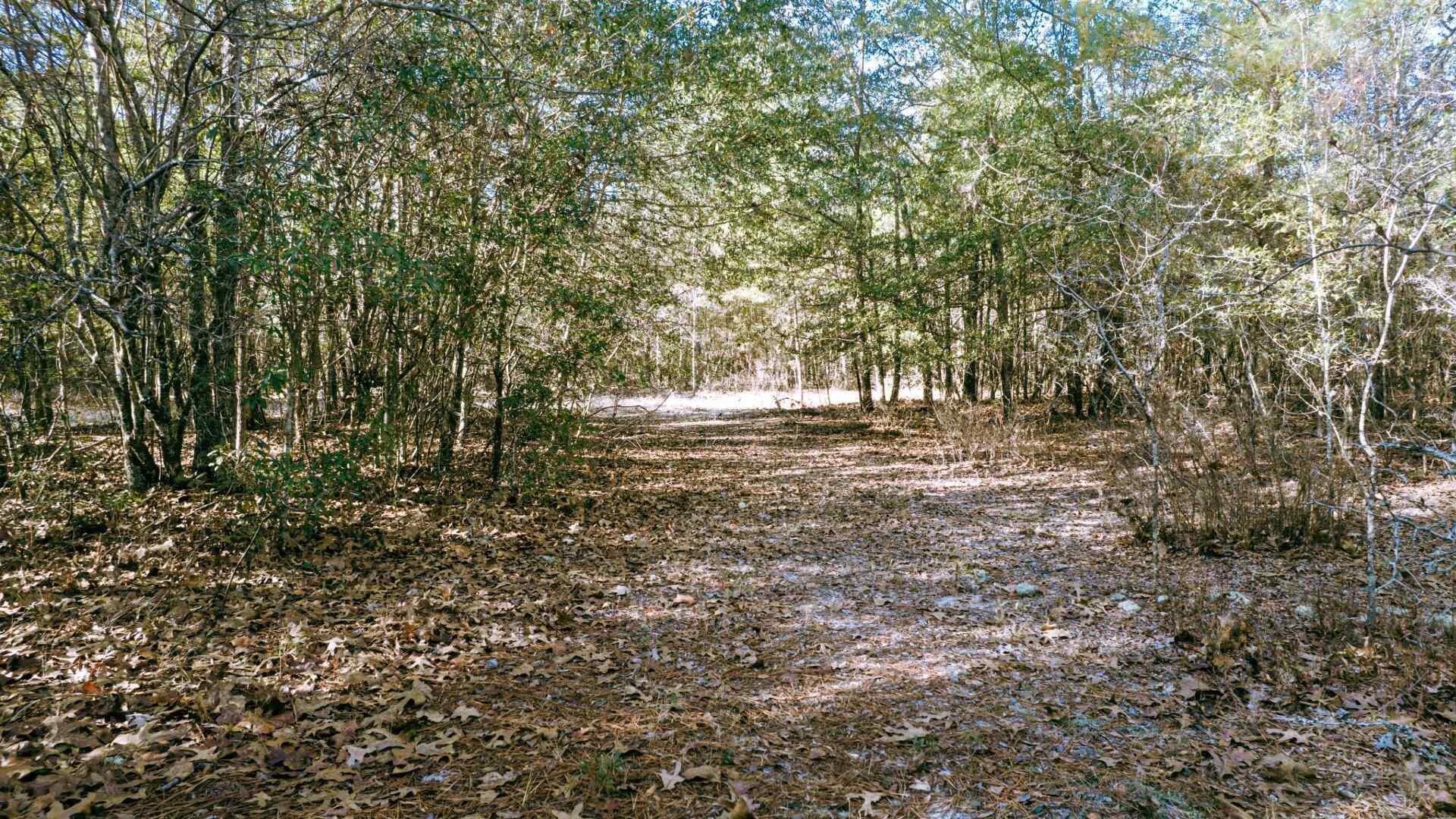 225 Weyerhaeuser Road Aiken, SC 29801 - Photo 28 of 32 Gallery Image 28