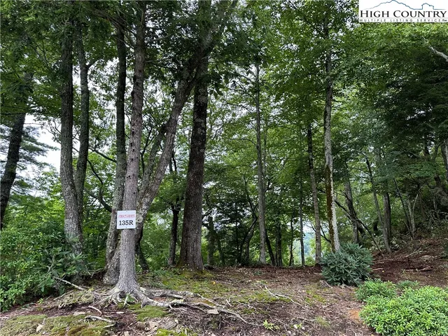 $89,000 | Lot 135 Firethorn Trail, Blowing Rock, NC 28605