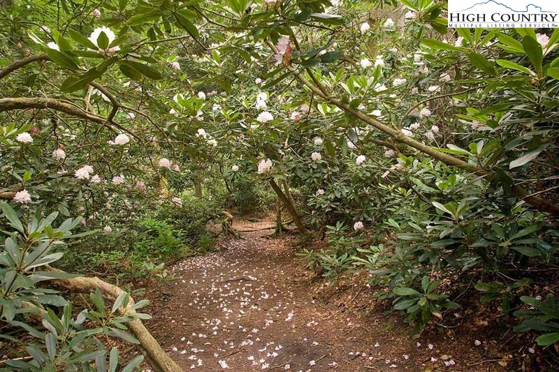 Lot 135 Firethorn Trail Blowing Rock, NC 28605 - Photo 17 of 19