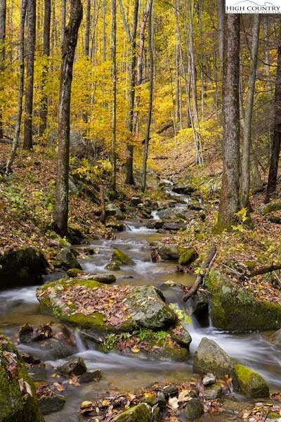 Lot 135 Firethorn Trail Blowing Rock, NC 28605 - Photo 18 of 19