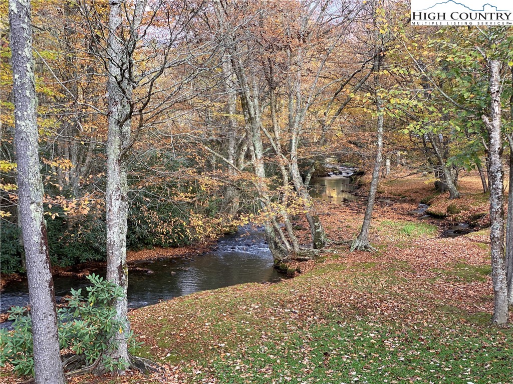 Lot 135 Firethorn Trail Blowing Rock, NC 28605 - Photo 19 of 19