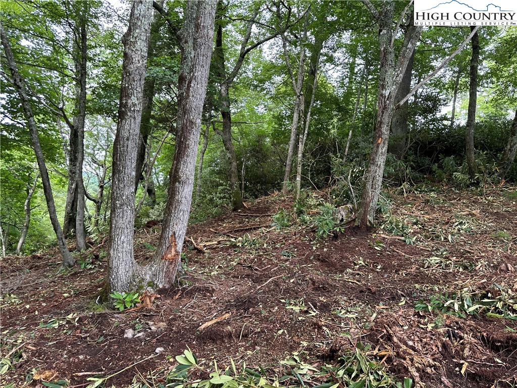 Lot 135 Firethorn Trail Blowing Rock, NC 28605 - Photo 3 of 19