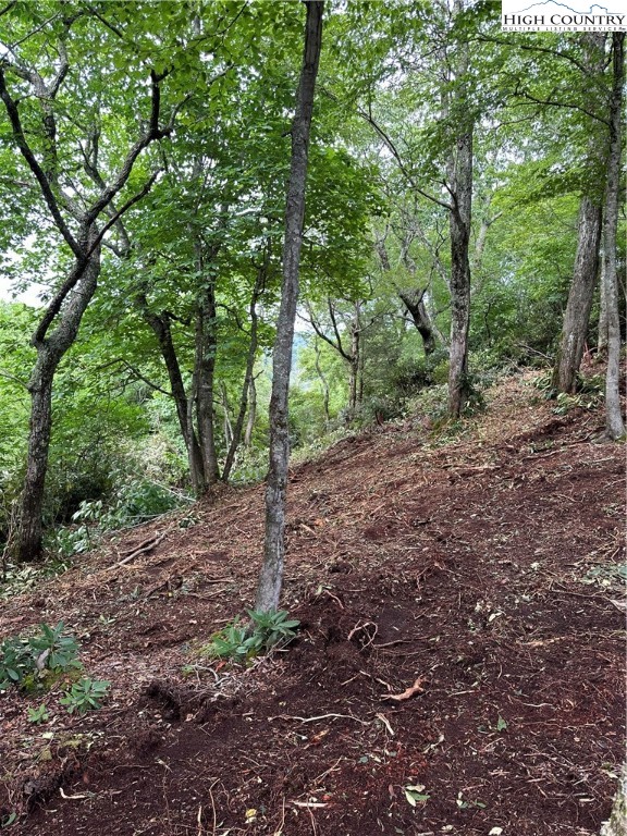 Lot 135 Firethorn Trail Blowing Rock, NC 28605 - Photo 4 of 19