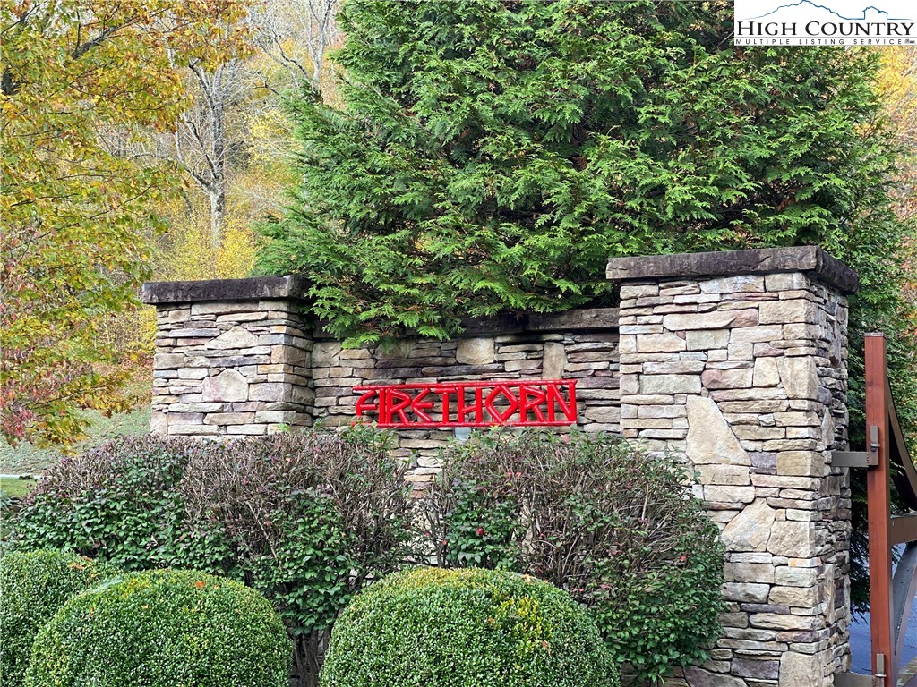 Lot 135 Firethorn Trail Blowing Rock, NC 28605 - Photo 5 of 19