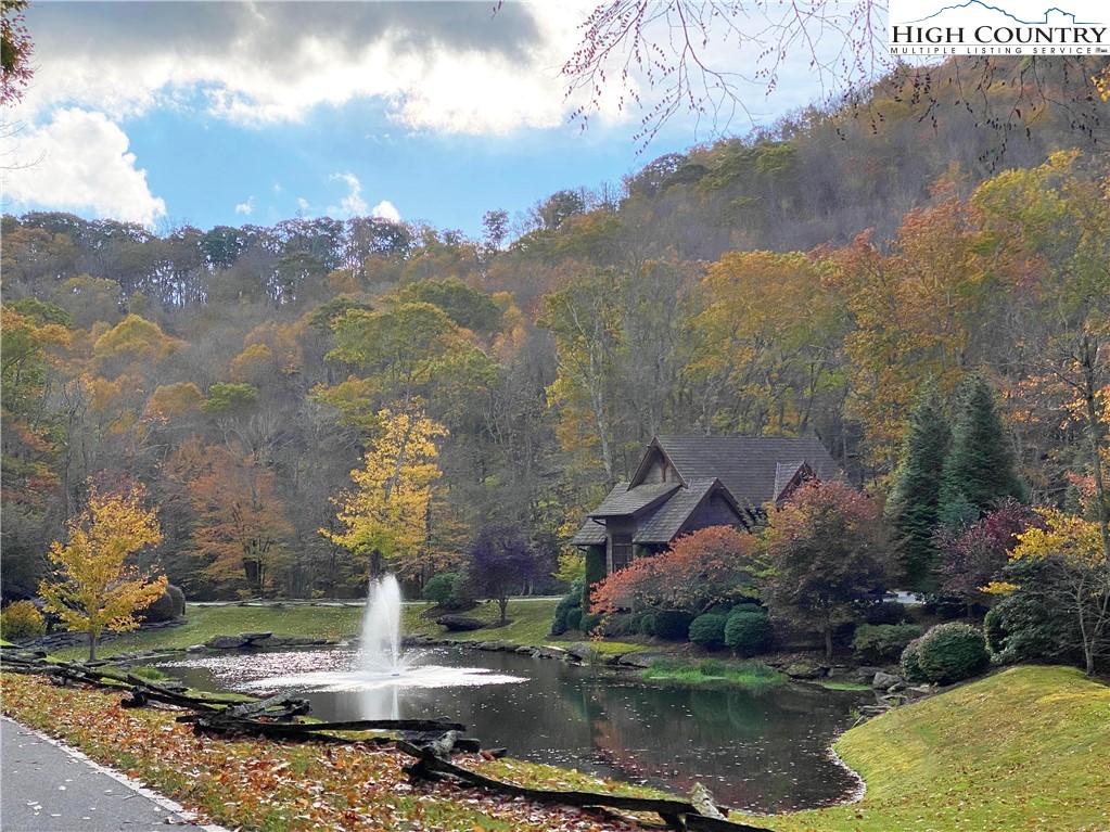 Lot 135 Firethorn Trail Blowing Rock, NC 28605 - Photo 6 of 19