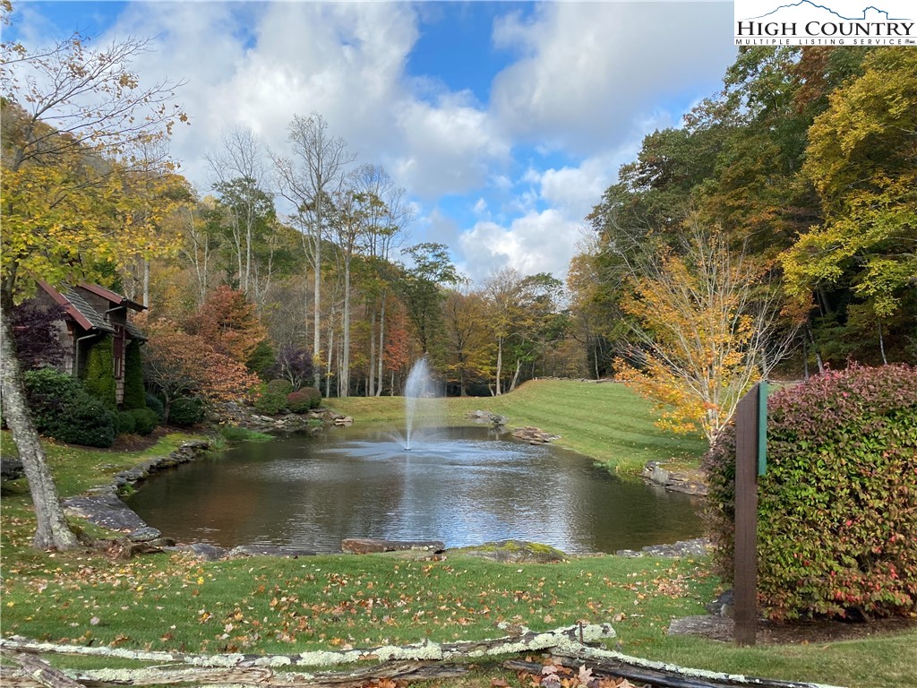 Lot 135 Firethorn Trail Blowing Rock, NC 28605 - Photo 7 of 19