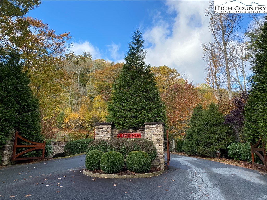 Lot 135 Firethorn Trail Blowing Rock, NC 28605 - Photo 10 of 19