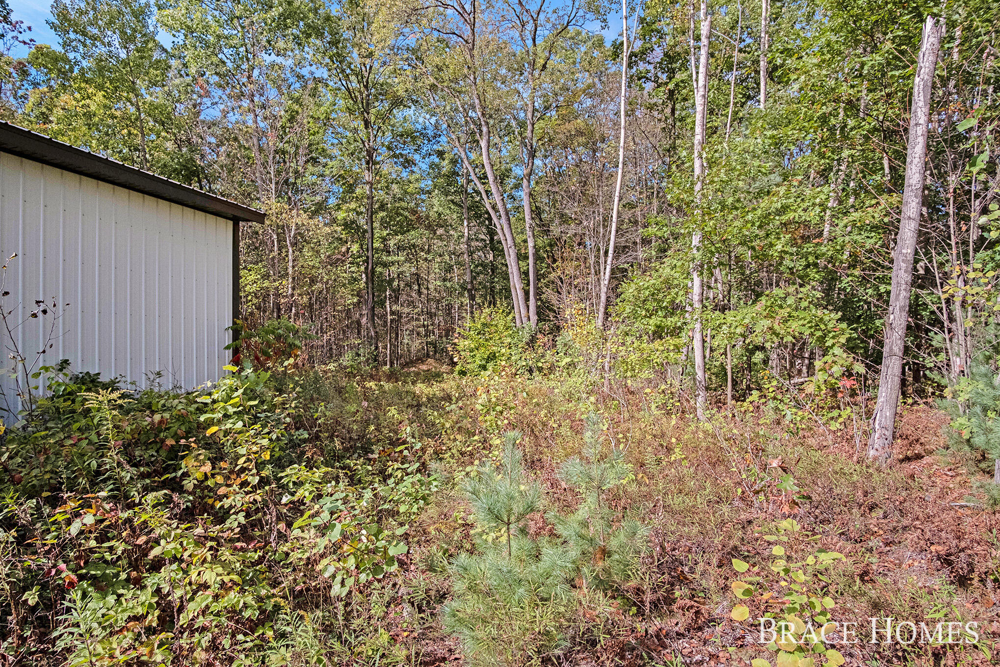10801 Federal Road Howard City, MI 49329 - Photo 11 of 22 8