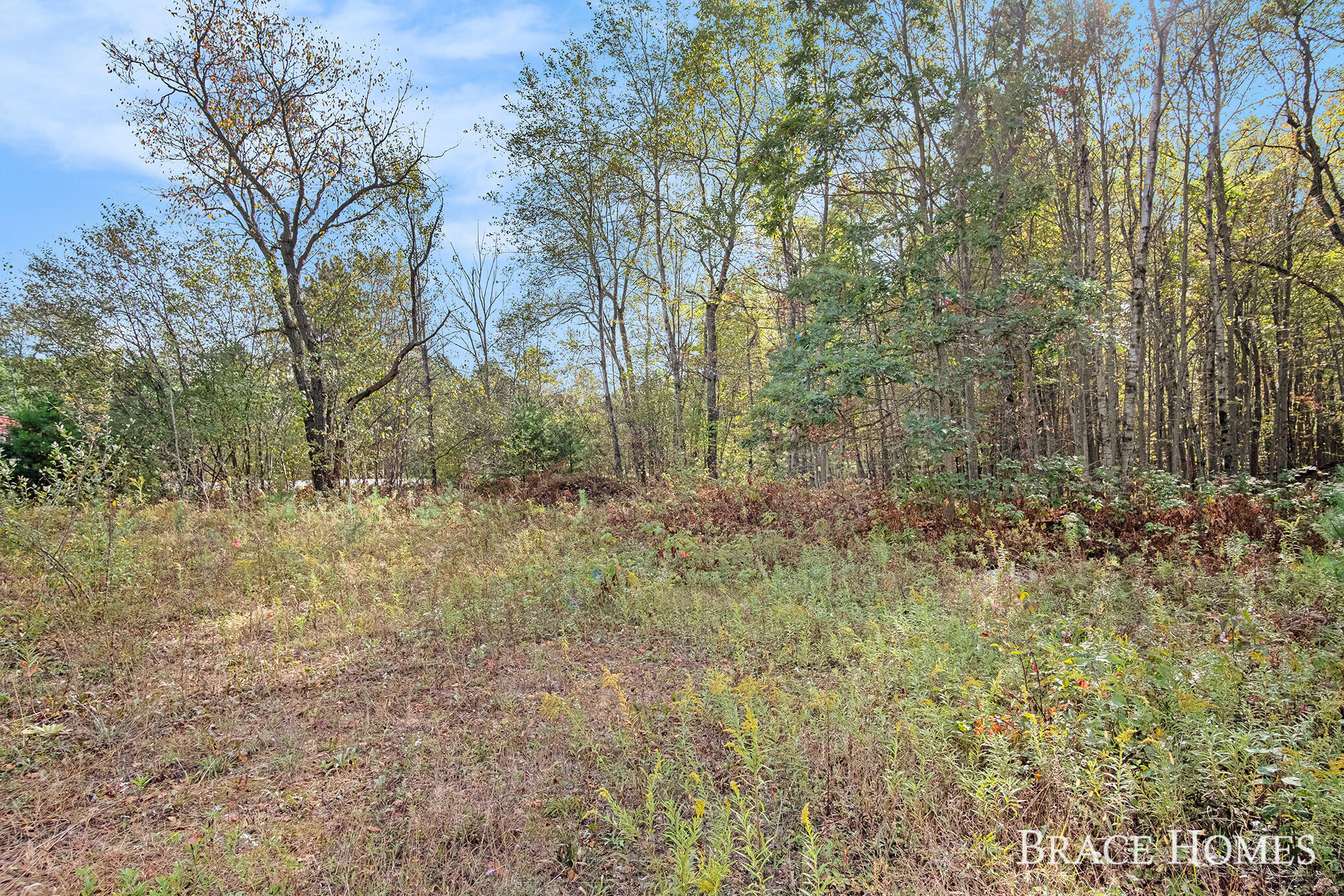 10801 Federal Road Howard City, MI 49329 - Photo 14 of 22 11