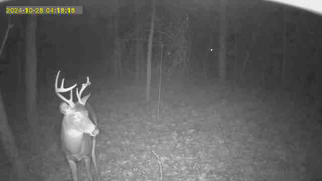 10801 Federal Road Howard City, MI 49329 - Photo 16 of 22 image2