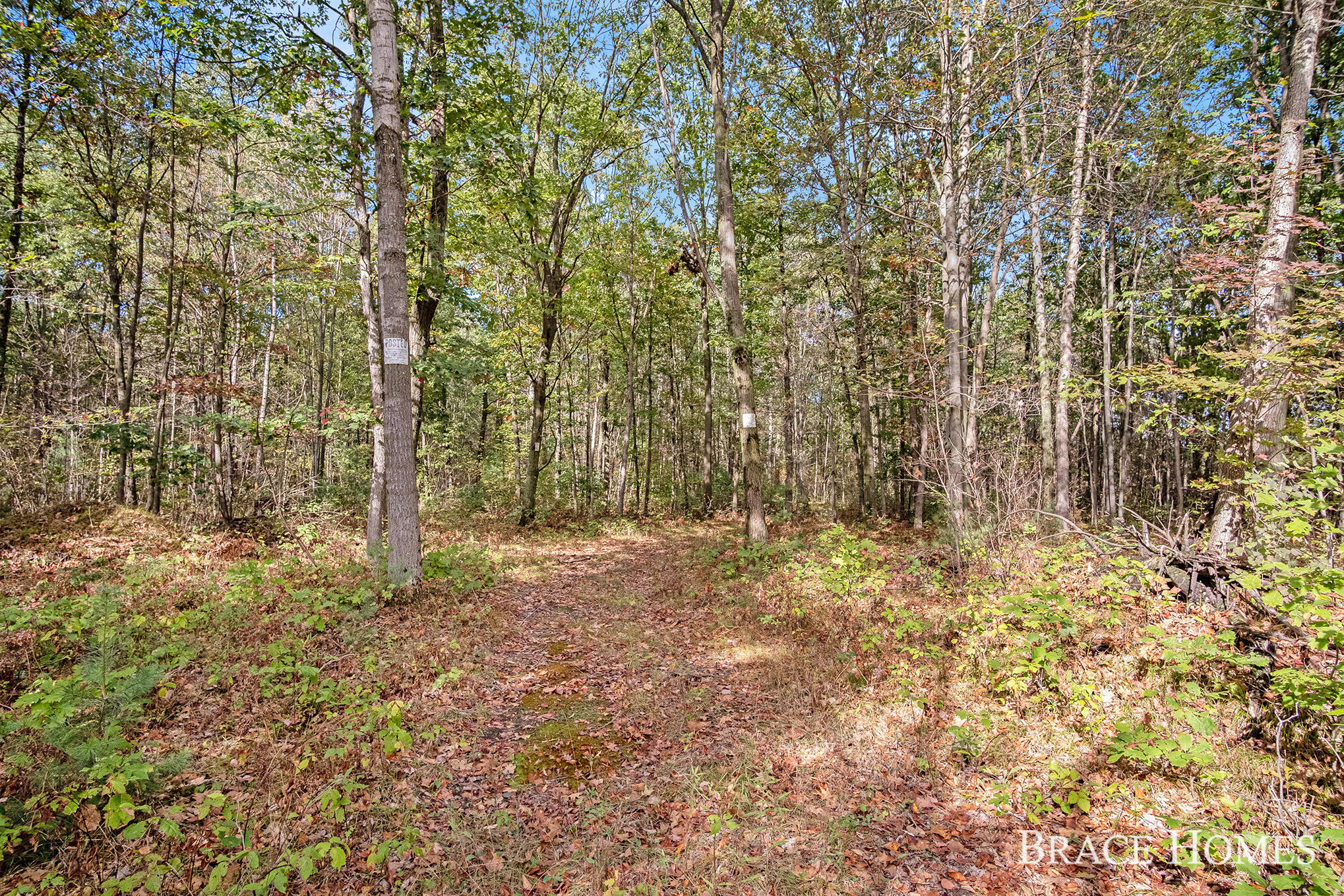 10801 Federal Road Howard City, MI 49329 - Photo 18 of 22 12
