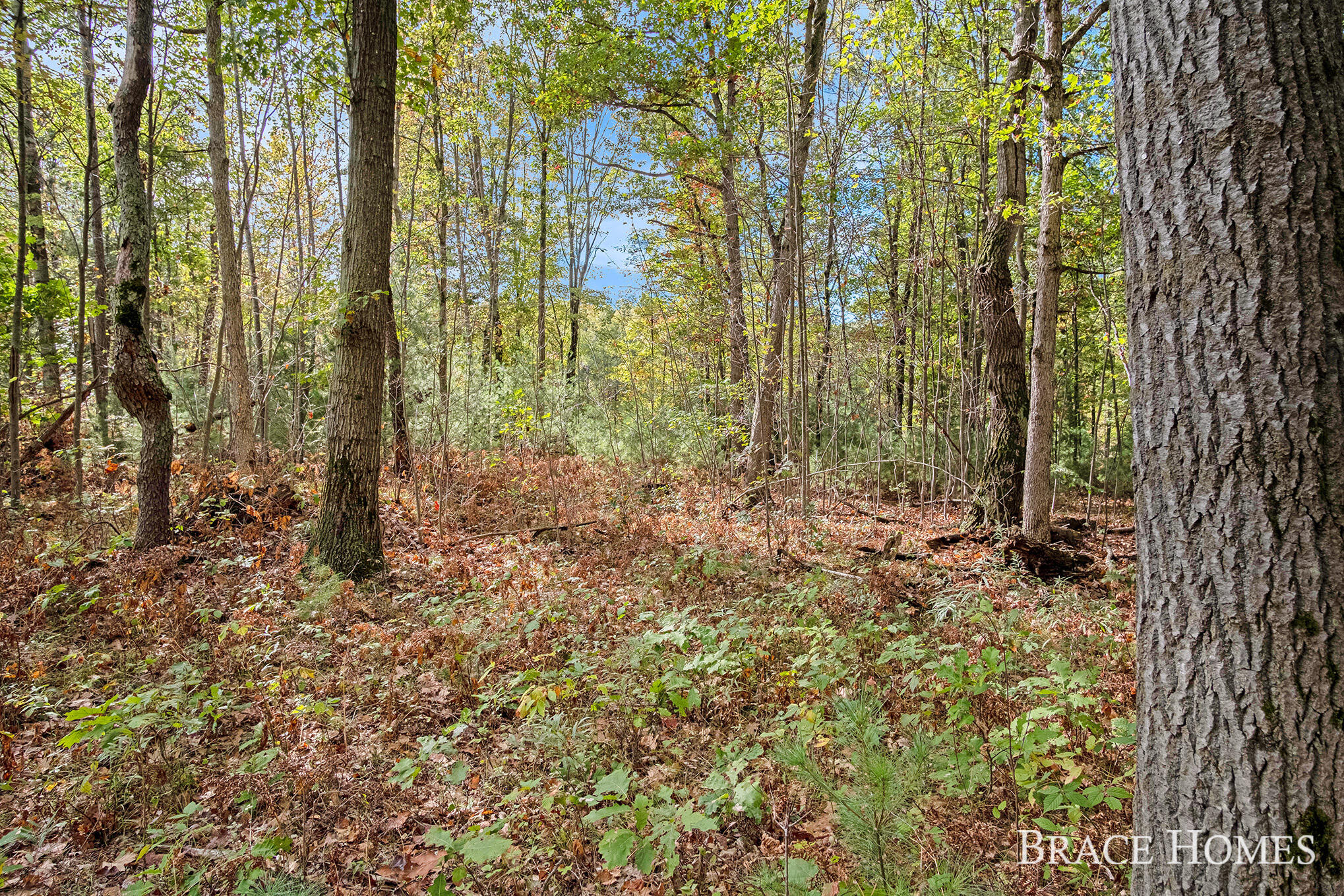 10801 Federal Road Howard City, MI 49329 - Photo 19 of 22 13
