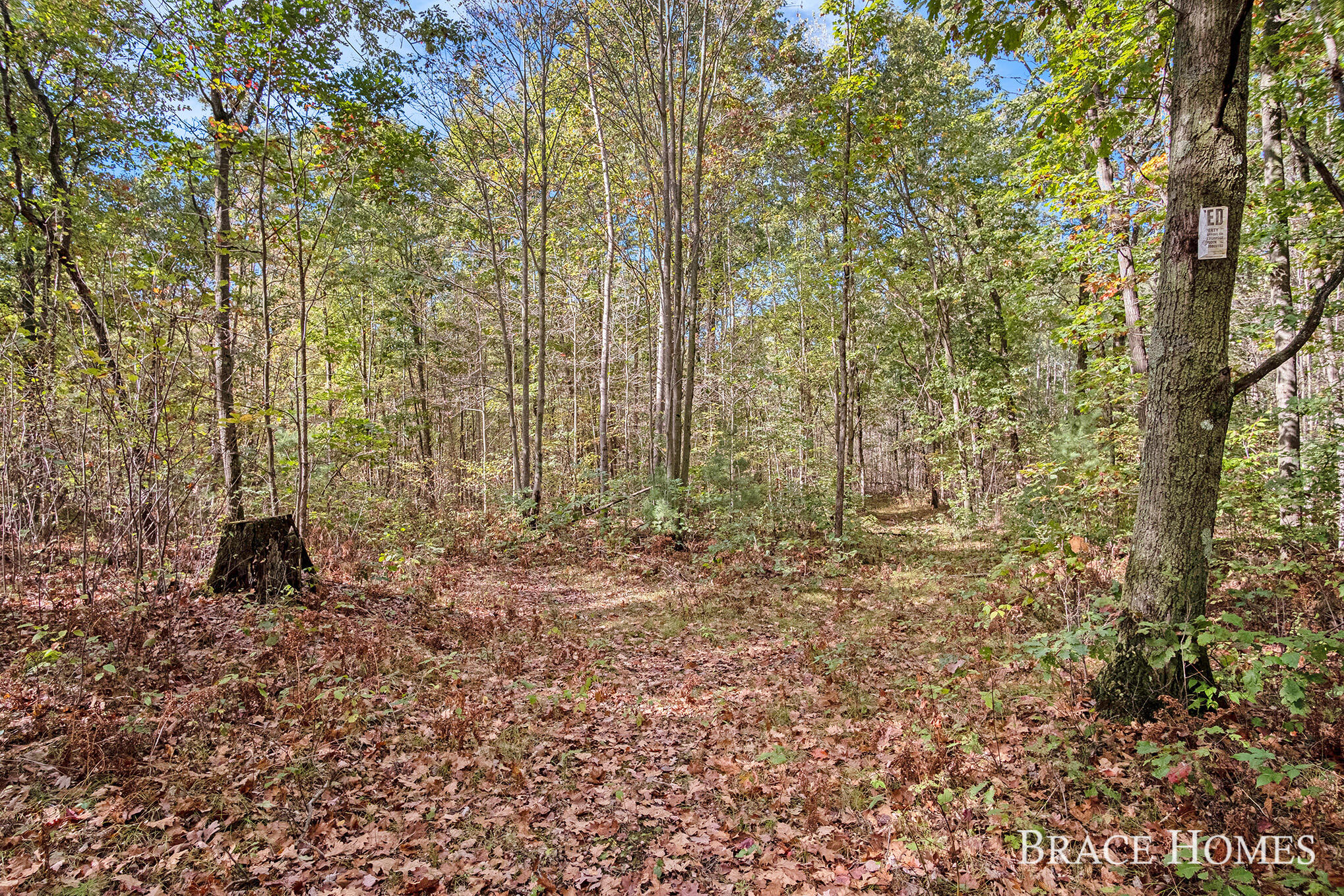 10801 Federal Road Howard City, MI 49329 - Photo 20 of 22 14