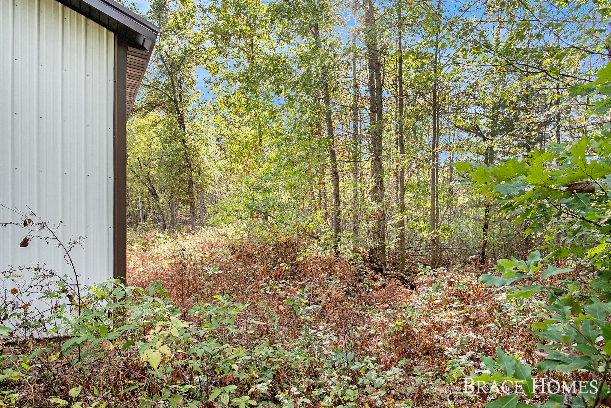 10801 Federal Road Howard City, MI 49329 - Photo 10 of 22 7