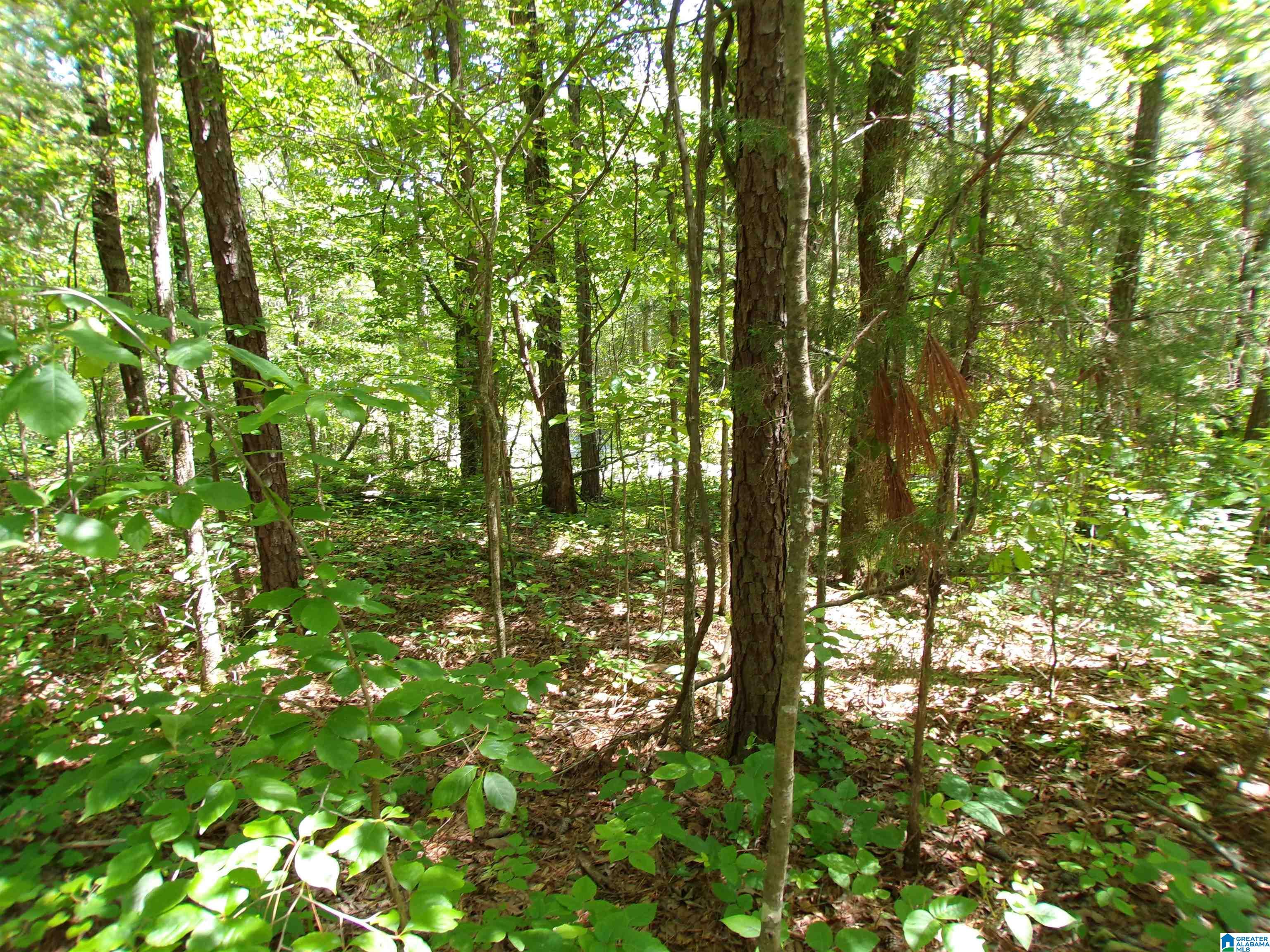1 St Mary Road South, Unit 1 Lincoln, AL 35096 - Photo 15 of 23