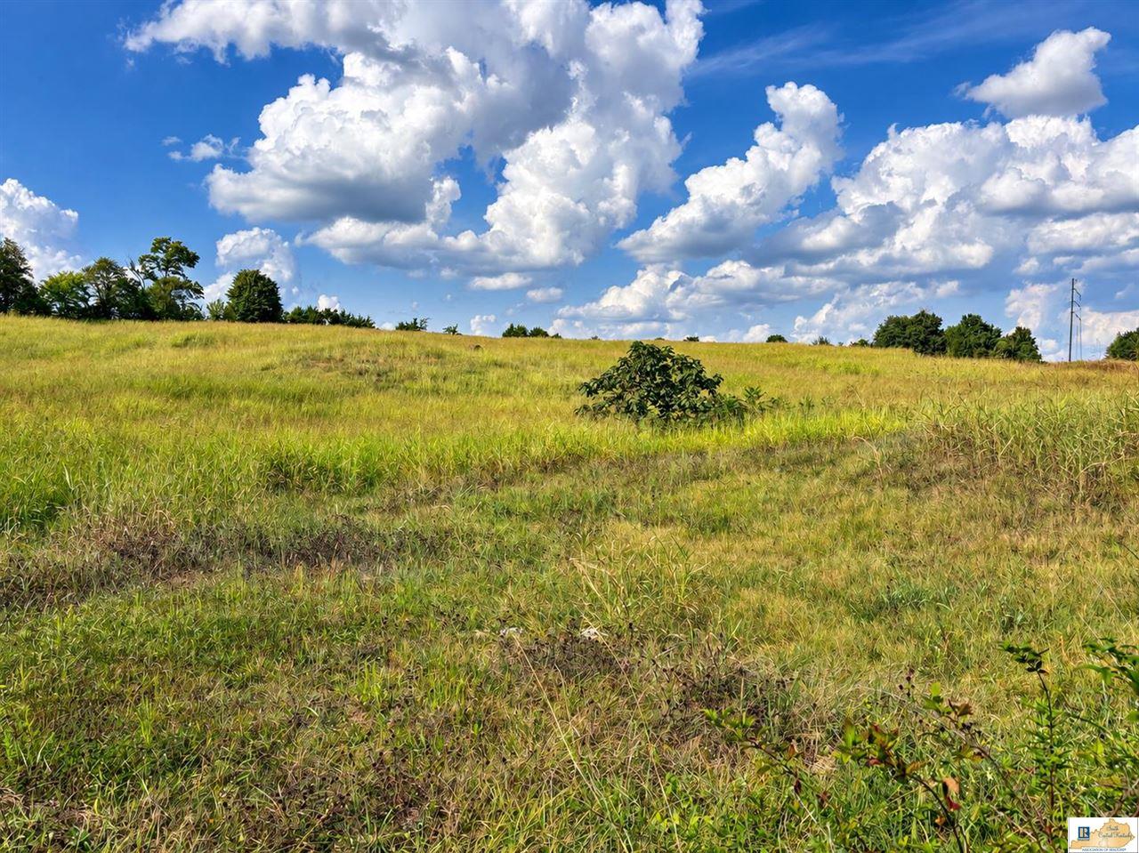 Roseville Road Glasgow, KY 42141 - Photo 8 of 14 Gallery Image 8