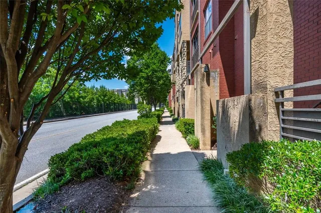 a view of a park with large trees
