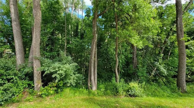 $60,000 | 0 Dana Shores Drive, Honeoye, NY 14471