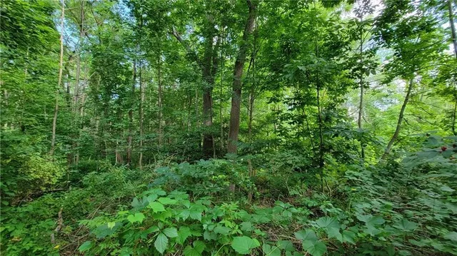 $60,000 | 0 Dana Shores Drive, Honeoye, NY 14471