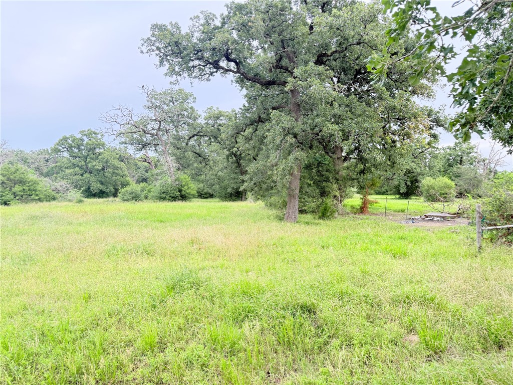 Tbd Wannabe Road Bryan, TX 77808 - Photo 6 of 42