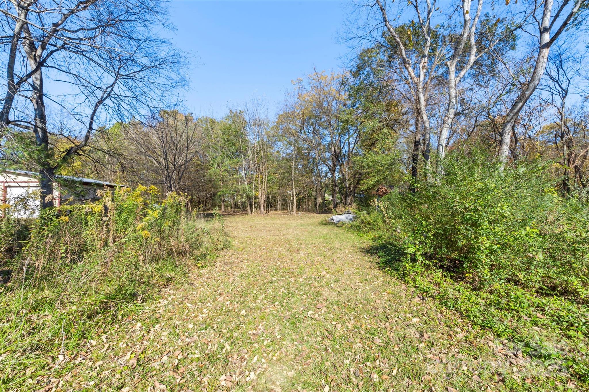 3913 Stough Road Concord, NC 28027 - Photo 16 of 20 a view of yard with trees